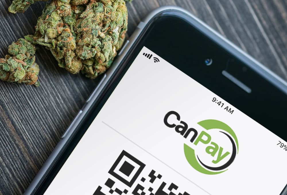 What Is CanPay? All You Want To Know